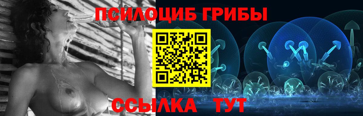 Галлюциногенные грибы мицелий  Вход с VPN  дарнет шоп  Салехард 