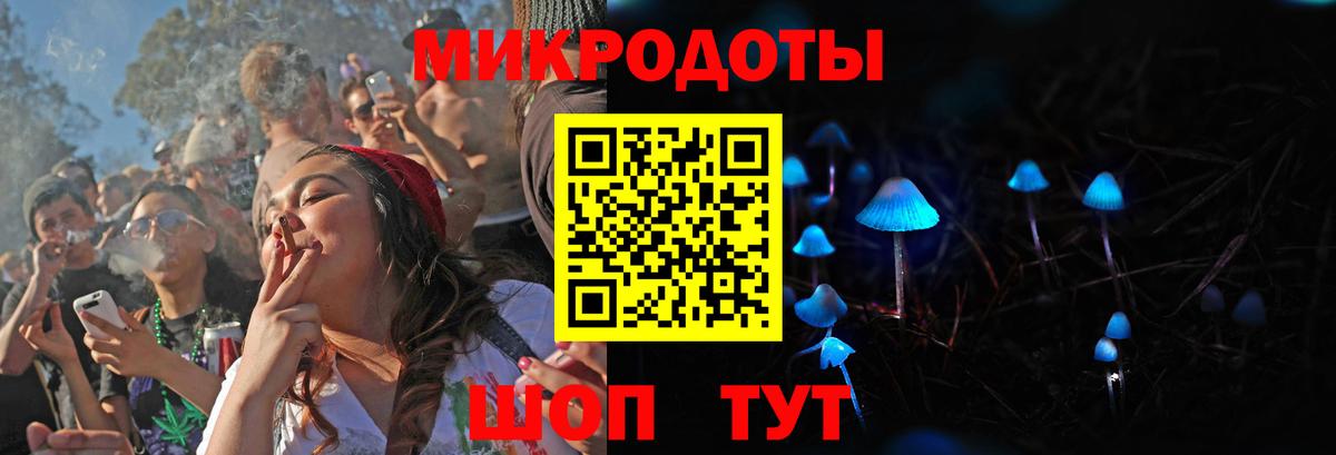 Галлюциногенные грибы Psilocybe Салехард